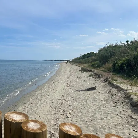 Διαμέρισμα Meuble Bord De Santa-Lucia-di-Moriani